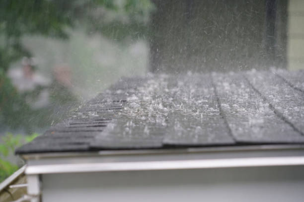 Best Asphalt Shingles Roofing  in Kane, PA