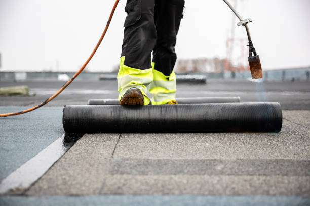 Best Roof Maintenance and Cleaning  in Kane, PA